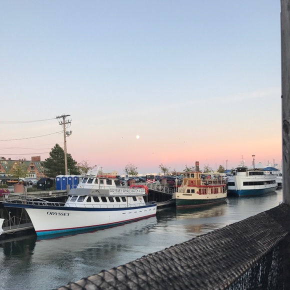 Meet your Posher, Catherine - Picture 1 of 1